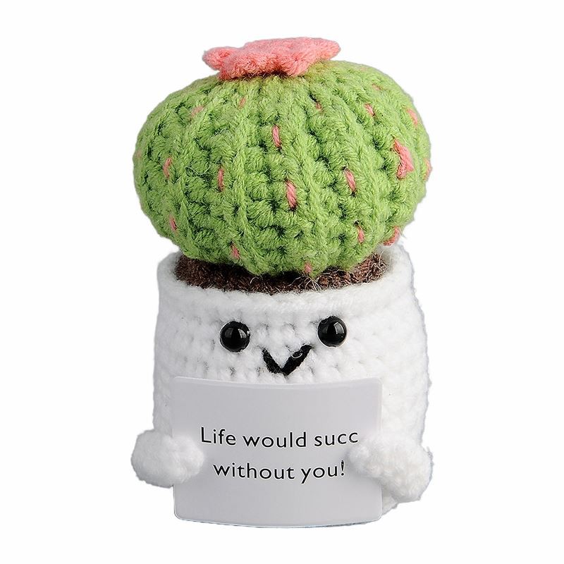 ক্রোশেট পটেড ক্যাকটাস অলঙ্কার